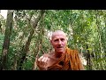 Basic buddhism advanced level dhamma talk