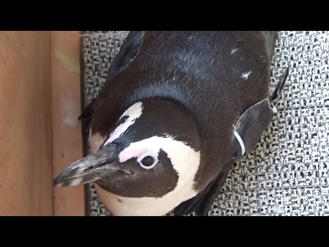 新着 動画 朝日新聞デジタル 新着 動画 朝日新聞デジタル
