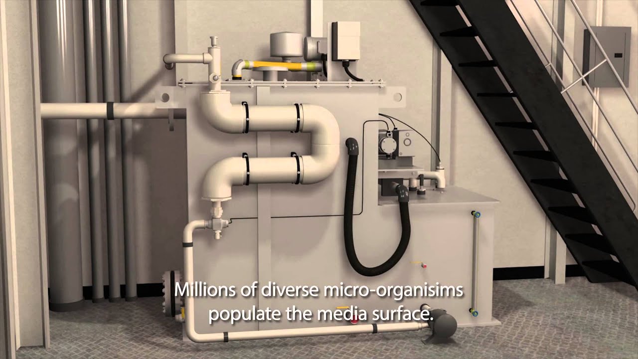 MarineFAST® Marine Sanitation Device MXSeries MARPOL YouTube