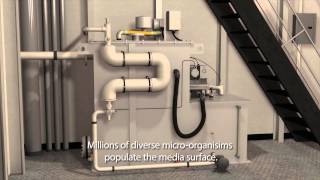 MarineFAST® Marine Sanitation Device MX-Series MARPOL