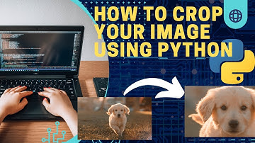 Python Pillow Tutorial: How to Crop an Image Like a Pro