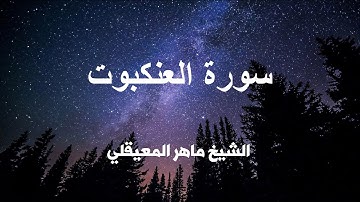 سورة العنكبوت كاملة تلاوة عطره بصوت الشيخ ماهر المعيقلي .