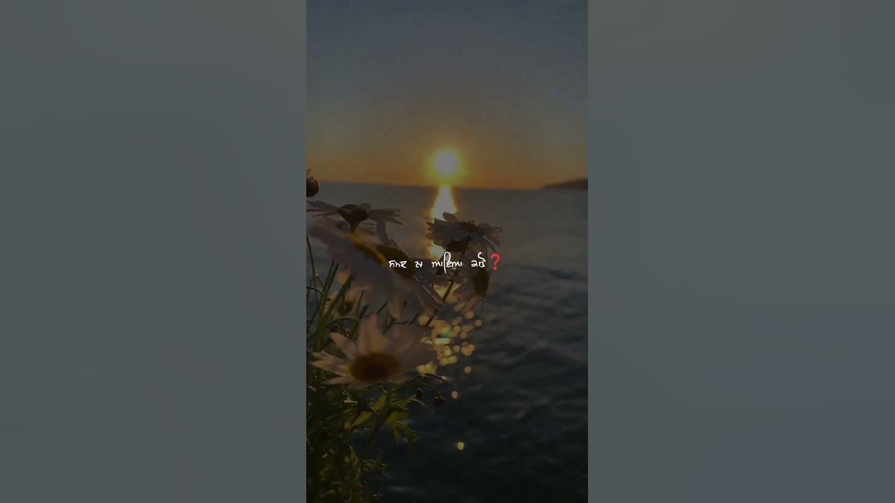Dildariyan । Amrinder Gill । WhatsApp status। #trending #punjabi #love #shorts