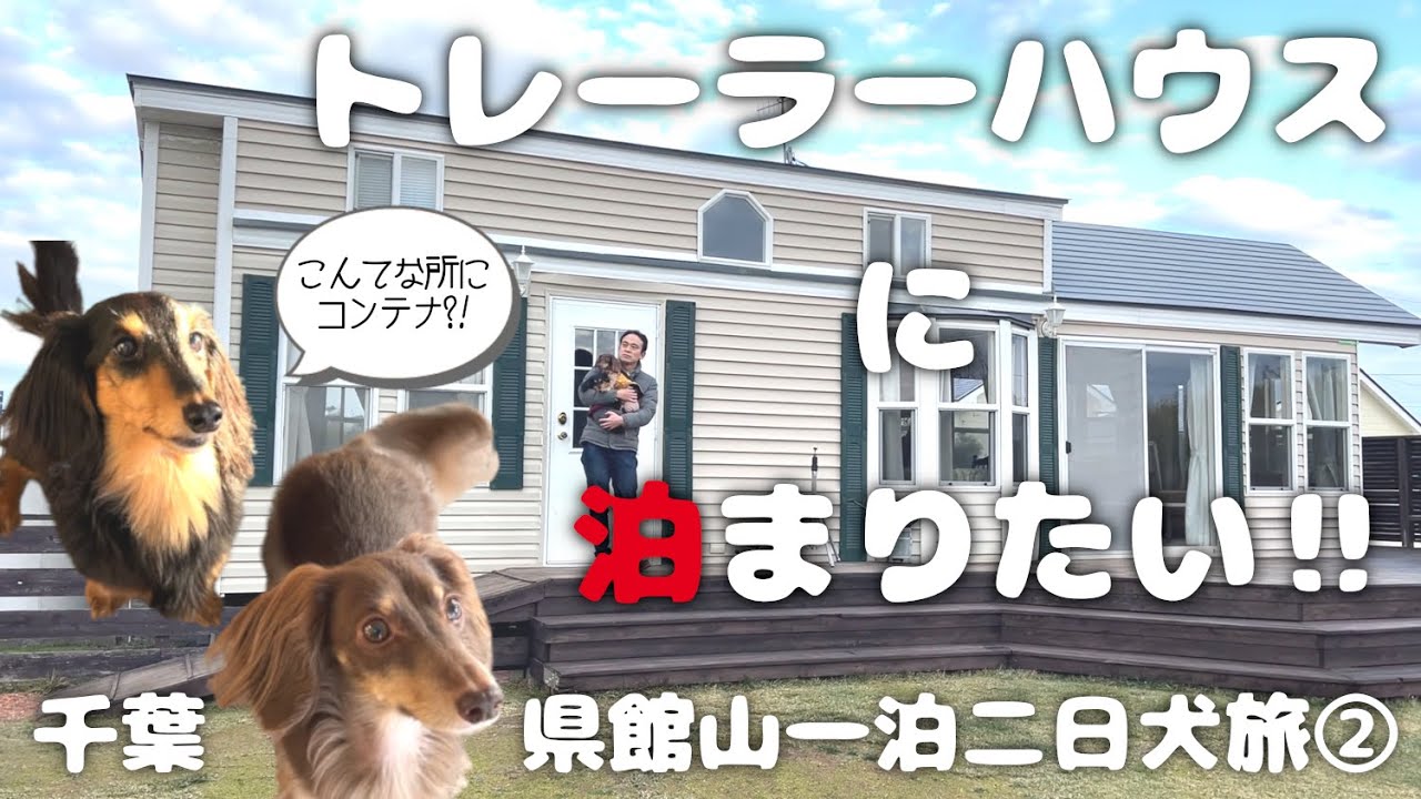 【犬連れ旅行千葉館山宿】愛犬と泊まれる宿「フロントヤード」さんのお洒落トレーラーハウスに泊まったよ!1泊2日わんこ旅2/3 2023.2