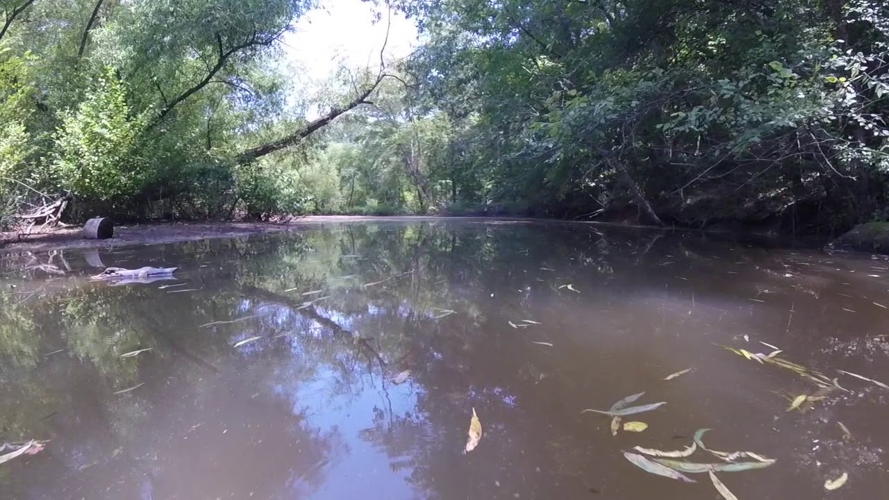Lake Norman State Park Kayaking YouTube