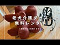 【お知らせ】老犬介護グッズの無料レンタルはじめました