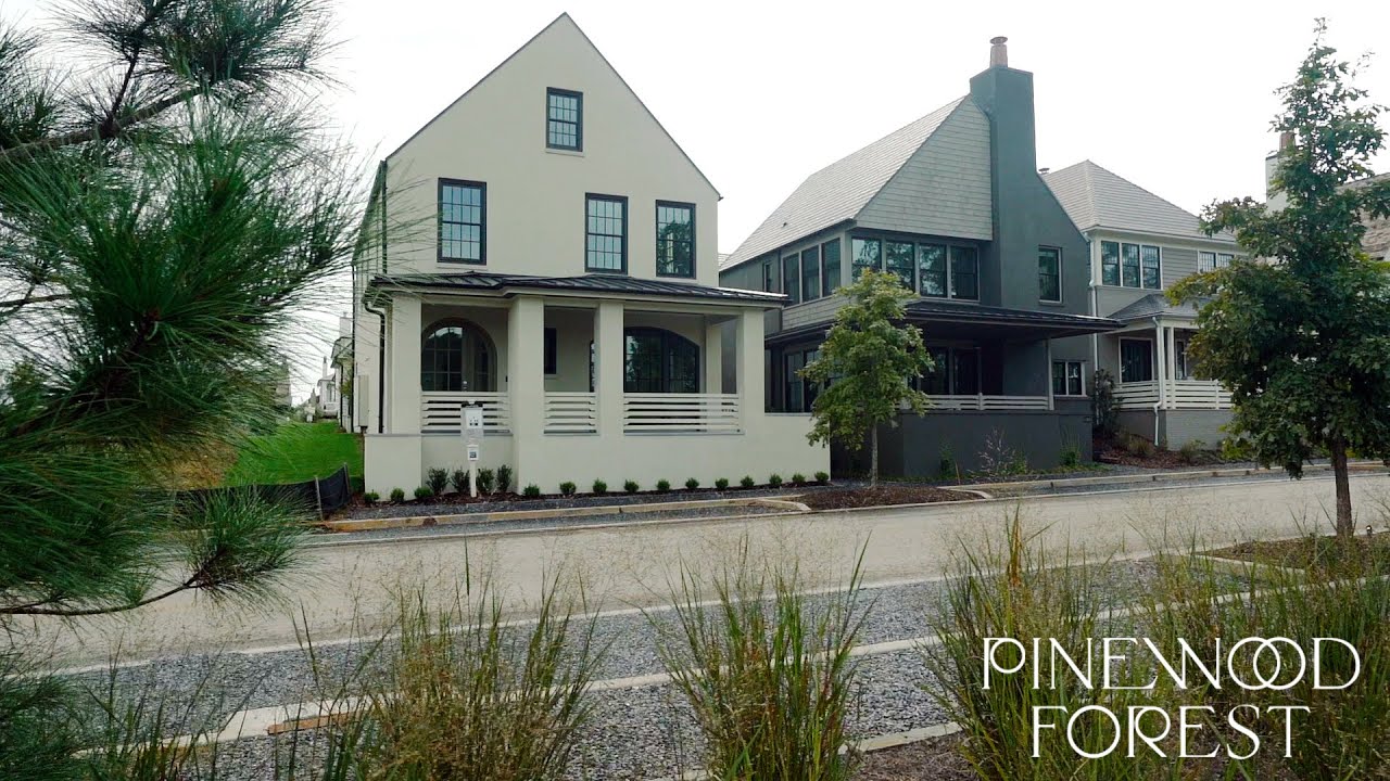 A Tour Through Pinewood Forest YouTube