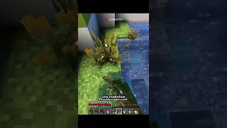 Bioma do Sapo e do Girino | Parte 07