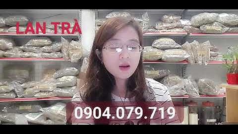 Có thể ngâm rượu chung mú từn, sâm cau và nấm ngọc cẩu được không?