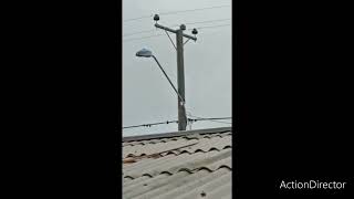Cae poste en el sector Rinconada El Sauce, Coquimbo