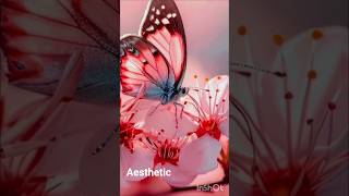 Pink lover 💗 | girl kids | entertainment galatta |