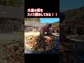 【田舎暮らしDIY】大量の薪でスイス積みやってみた！！ #Shorts