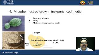 Industrial Microorganisms