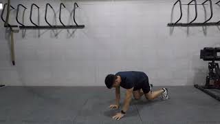 Quadruped Crawl Forward - 前行四點著地爬行