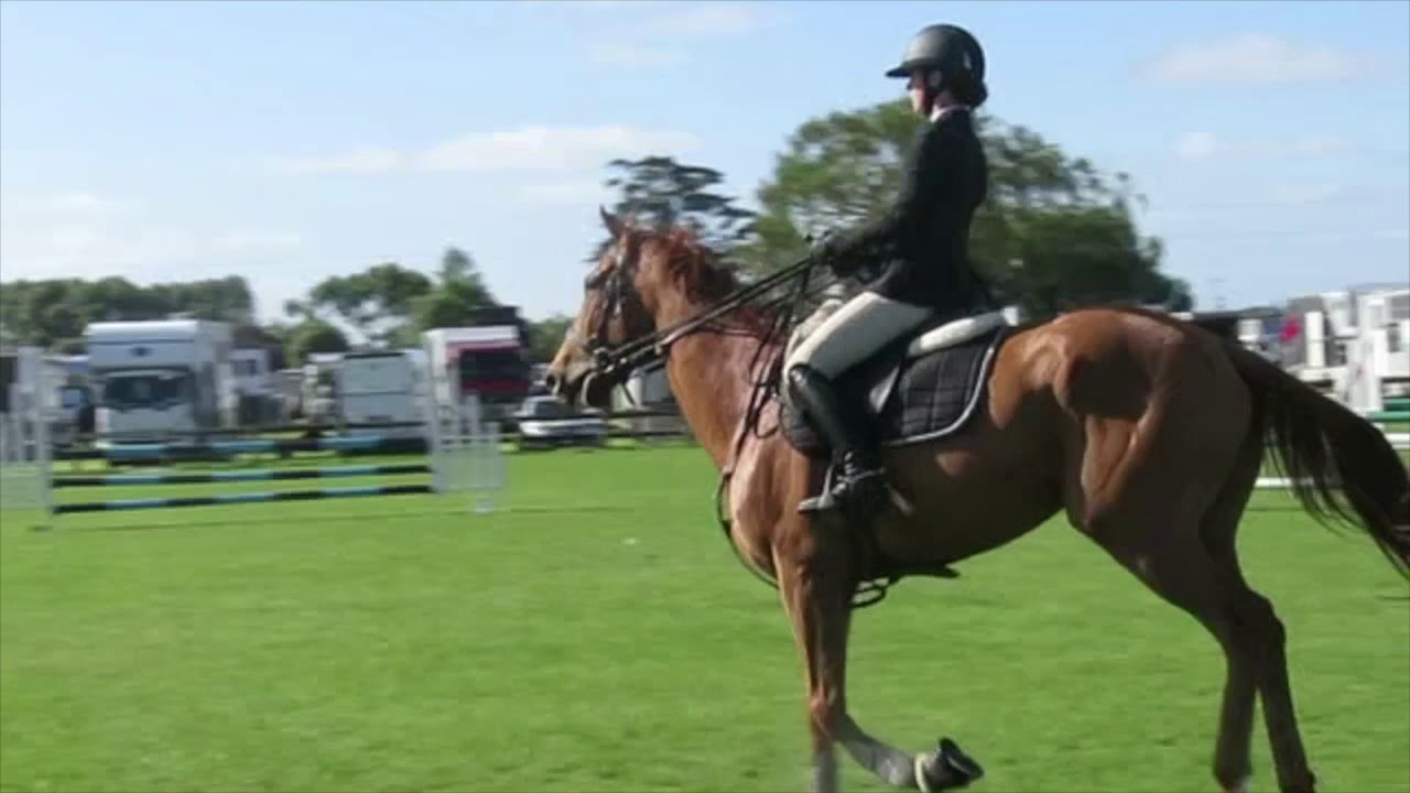 Ricochet Epoch Pukekohe 2018 Horse 90cm YouTube