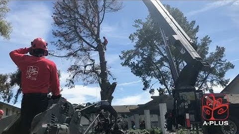 Orchestrated Crane Job