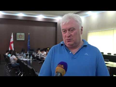 ავტოქარხნის სამაჟორიტარო ოლქში მცხოვრები ახალგაზრდები, ქუთაისის საკრებულოს ესტუმრნენ