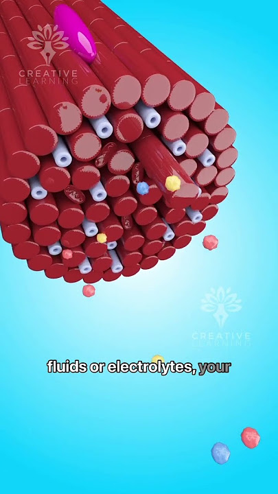 Why Do We Get Muscle Cramps 😫 #shorts #viralvideo #Creativelearning3d
