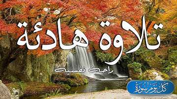 تلاوة هادئة ❤ تريح القلب ❤ | القارئ محمد هشام | سورة مريم  كاملة  بصوت جميل جداً