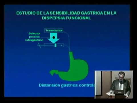 Dispepsia significado gastrica de