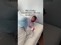 Enough is enough! Get yourself a side sleeper pillow with the link in our bio! #foryoupage #sleeper