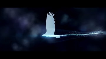 Opening Logos - Shock Wave (two films)