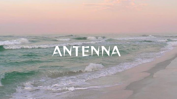 Zuchu - Antenna [Lyrics]