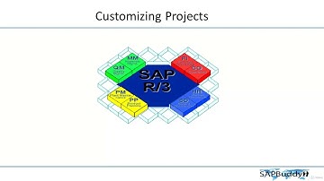 SAP BASIS COURSE: Lec 44. Customizing Projects.