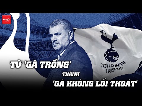 TOTTENHAM: TỪ 'GÀ TRỐNG' THÀNH 'GÀ KHÔNG LỐI THOÁT'