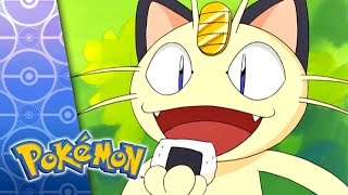 The Ultimate Pokémon Food Compilation Season 6