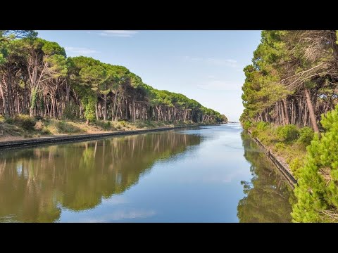 Wideo: Parco natural di San Rossore Massaciuccoli opis i zdjęcia - Włochy: Piza