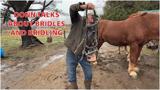 Donn Hewes Tips — Donn Discusses Bridles