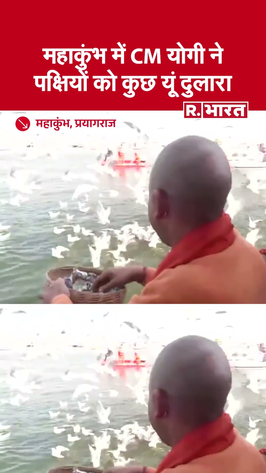 Mahakumbh में CM Yogi ने पक्षियों को कुछ यूं दुलारा