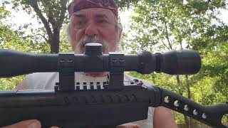 Swiss Arms .177 Cal Table Top Review.  Flying Can Ranch