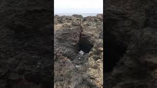 Kiama Blowhole Live In Action