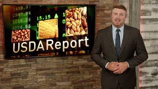 July WASDE Preview:Will USDA Cut Yield in the July Report