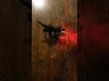 Mystery box has a SPRAYING T-REX 🦖 #unboxing #mysterbox #fundelivered #overstock