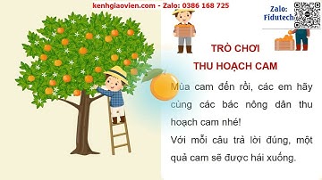 Giáo án PowerPoint Chủ đề C2 bài 2: Tìm kiếm tệp và thư mục | GA điện tử Tin học 5 cánh diều