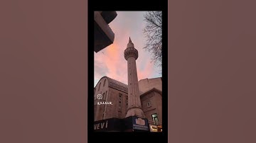سورة يوسف / آية 110 / آية عظيمة للتفاؤل  بالنصر و الإطمئنان من اليأس 💙