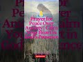 Prayer for Peace Over Anxiety  Calm Your Heart in God’s Presence #PrayerForPeace #FaithOverFear