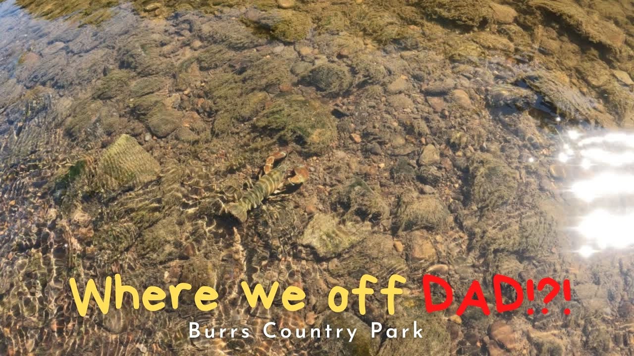 BURRS COUNTRY PARK 4K