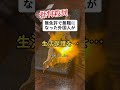 【批判】生活保護職員が「国に帰れ」無免許で無職の外国人に…