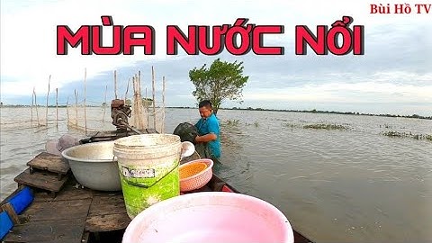 Độc đáo cảnh đổ dớn bắt cá linh mùa nước nổi ở Miền Tây | Bùi Hồ TV
