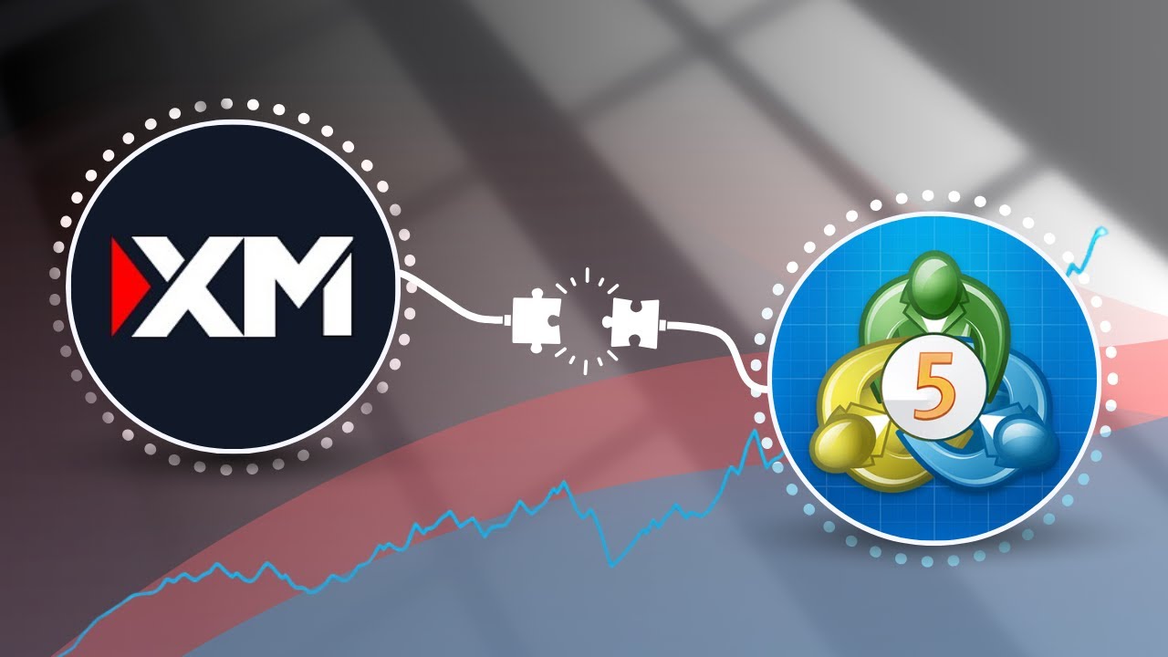 Xm Qr Code XM to MT5 — How to Connect or Link XM to MetaTrader 5 (PC & Mobile ...