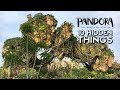 10 Hidden Details in Pandora—The World of Avatar at Disney's Animal Kingdom