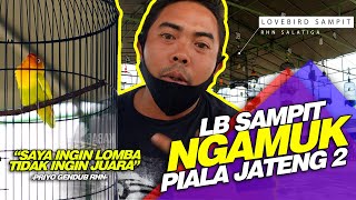 Piala Jateng 2  Ngamuk Lb Sdanit Diskualifikasi Tidak Pake Sangkar Radja  Priyo Rhn Salatiga