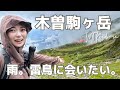 【登山】木曽駒ヶ岳｜雨の中央アルプスでライチョウに会えるのか！？