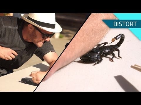 Getting Stung by a Scorpion. In Slow Motion!