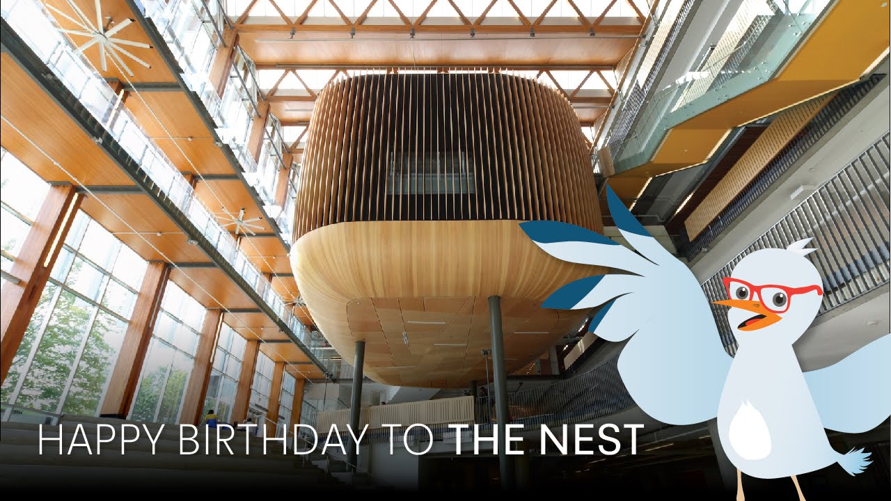 Fly Through The Nest