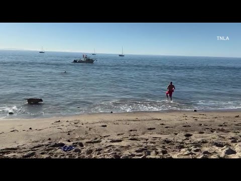 Kayak fisherman attacked by shark while releasing it